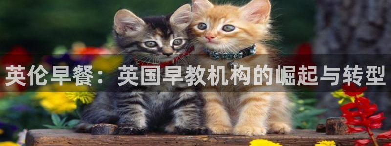 恒行开户娱乐6ll5l特惠：英伦早餐：英国早教机构的崛起与转型