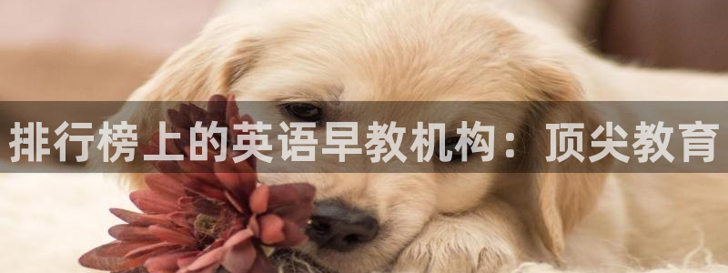 恒行注册招收6ll5l指定：排行榜上的英语早教机构：顶尖教育