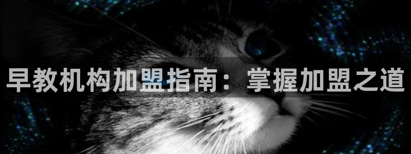 恒行主管首问6ll5l：早教机构加盟指南：掌握加盟之道