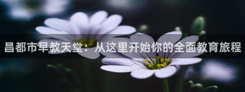 恒行主管总代6ll5l周至：昌都市早教天堂：从这里开始你的全面教育旅程