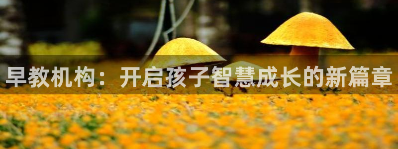 恒行娱乐蒋74OOO5：早教机构：开启孩子智慧成长的新篇章