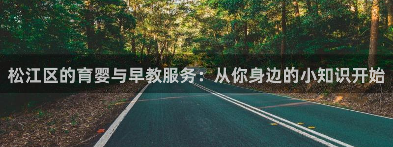 恒行5：松江区的育婴与早教服务：从你身边的小知识开始