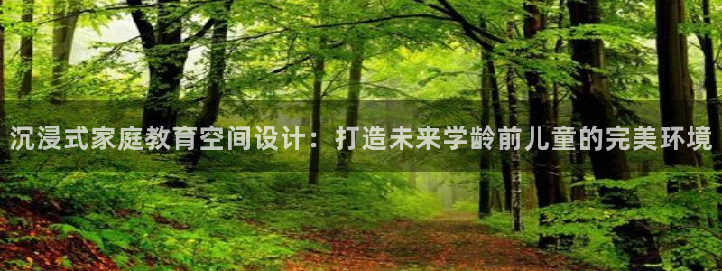 恒行注册全2O5O5O：沉浸式家庭教育空间设计：打造未来学龄前儿童的完美环境