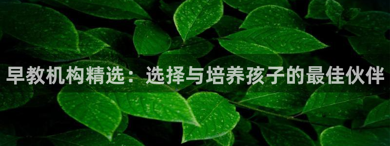 恒行5：早教机构精选：选择与培养孩子的最佳伙伴