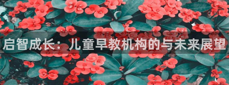 恒行开户全2O5o5O：启智成长：儿童早教机构的与未来展望