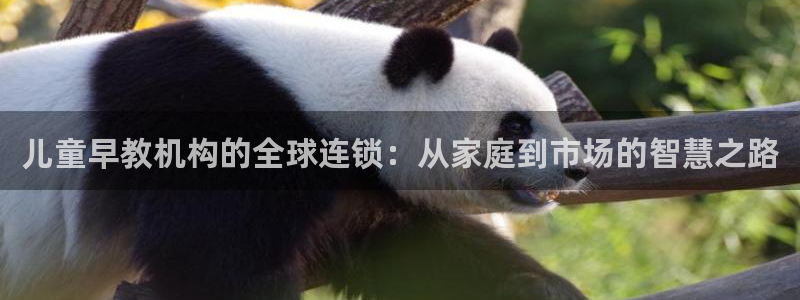 恒行娱乐景74ooo5诿抢：儿童早教机构的全球连锁：从家庭到市场的智慧之路