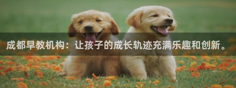 恒行2下74OOO5：成都早教机构：让孩子的成长轨迹充满乐趣和创新。