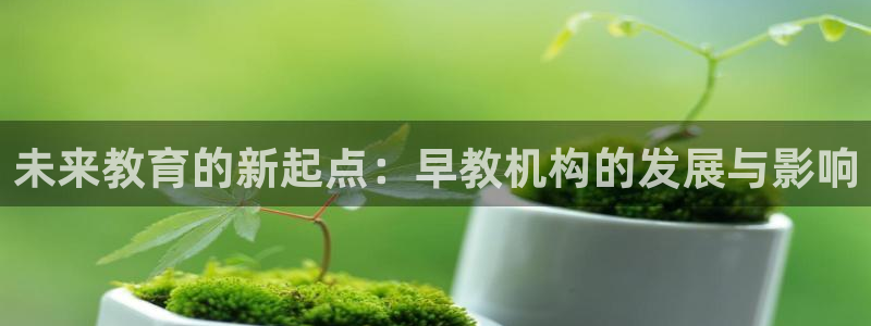 恒行2那74OO5：未来教育的新起点：早教机构的发展与影响
