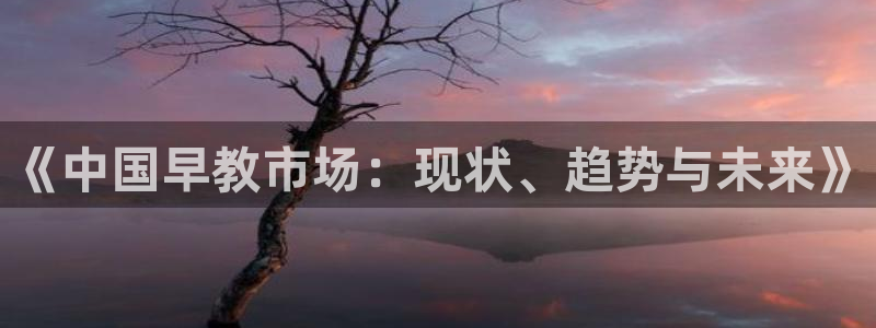 恒行娱乐登录信用 74ooo5:《中国早教市场:现状、趋势与未来》