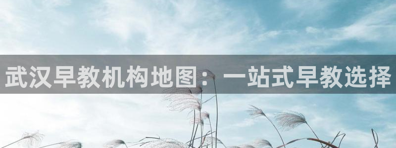 恒行娱乐5ll533主管耐心:武汉早教机构地图:一站式早教选择