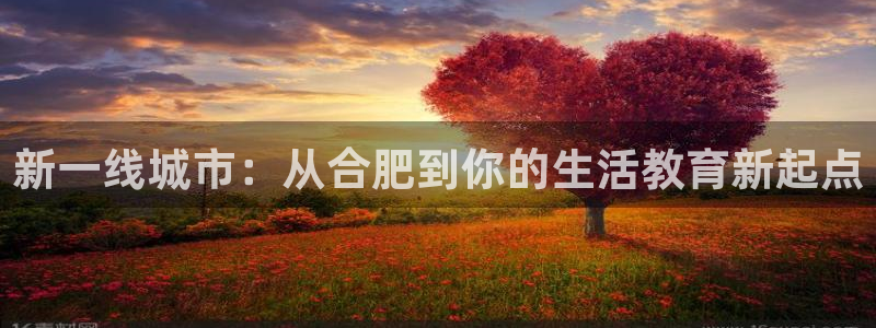 恒行登录就搜6ll5l:新一线城市:从合肥到你的生活教育新起点