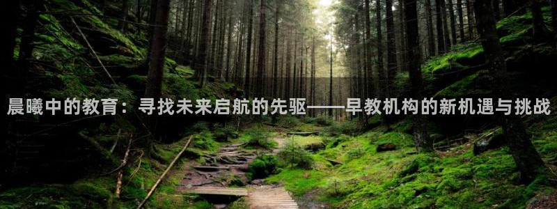 恒行娱乐度74ooo5聘霖:晨曦中的教育:寻找未来启航的先驱——早教机构的新机遇