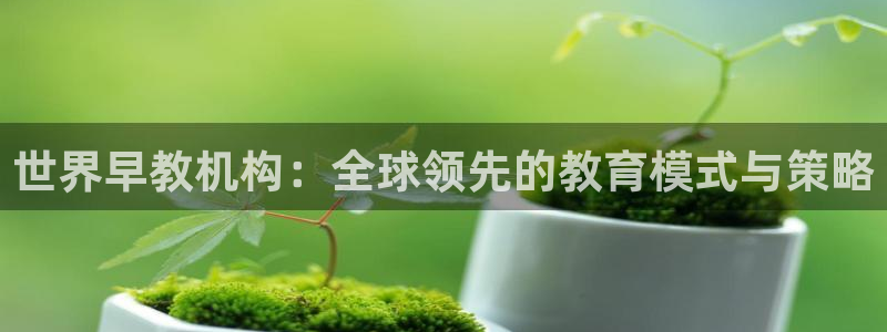 恒行注册全2O5O5O:世界早教机构:全球领先的教育模式与策略