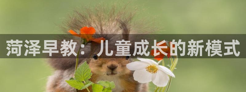 恒行主管招收 6ll5l出奇:菏泽早教:儿童成长的新模式