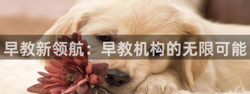 恒行娱乐登录信用 74ooo5:早教新领航:早教机构的无限可能