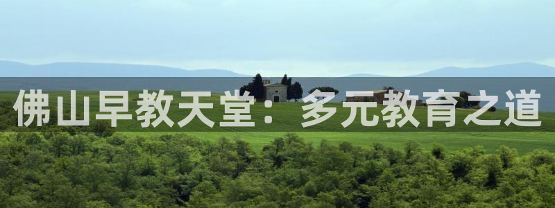 恒行2下74OO5：佛山早教天堂：多元教育之道