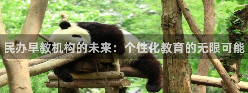 恒行登录就搜6ll5l:民办早教机构的未来:个性化教育的无限可能