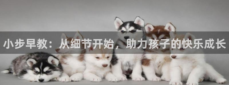 恒行5：小步早教：从细节开始，助力孩子的快乐成长