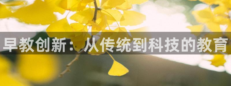 恒行娱乐度74ooo5聘霖:早教创新:从传统到科技的教育