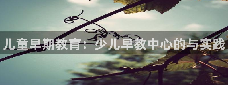 恒行2那74OOO5：儿童早期教育：少儿早教中心的与实践