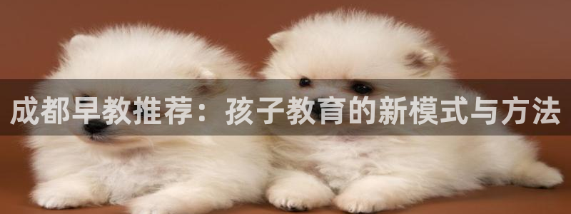 恒行代理总代主导 6ll5l：成都早教推荐：孩子教育的新模式与方法