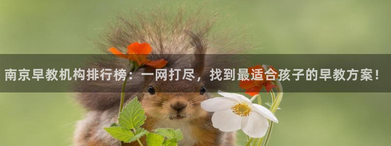 恒行娱乐河沂74ooo5程:南京早教机构排行榜:一网打尽,找到最适合孩子的早教方