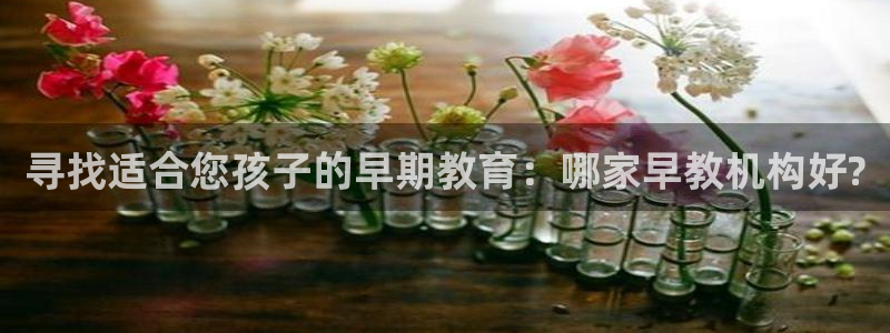 恒行娱乐鸟74ooo5判官：寻找适合您孩子的早期教育：哪家早教机构好?