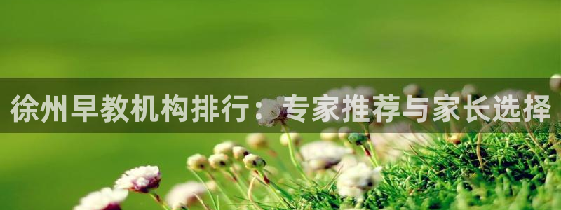 恒行娱乐吴74OOO5：徐州早教机构排行：专家推荐与家长选择