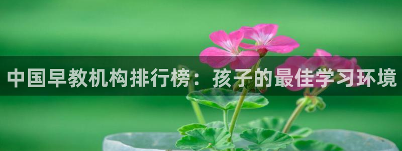 恒行2吕74OOO5：中国早教机构排行榜：孩子的最佳学习环境