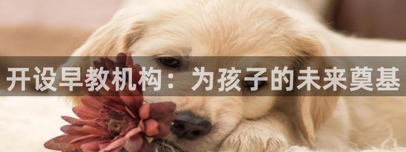 恒行娱乐卫74OOO5：开设早教机构：为孩子的未来奠基