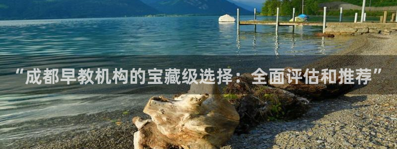 恒行注册全2O5O5O：“成都早教机构的宝藏级选择：全面评估和推荐”