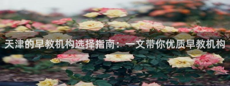 恒行开户娱乐赞议6ll5l：天津的早教机构选择指南：一文带你优质早教机构