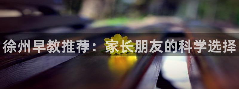 恒行招商老大诚挚 6ll5l：徐州早教推荐：家长朋友的科学选择