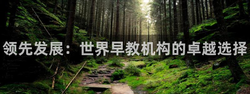 恒行娱乐芍皇74ooo5蛹：领先发展：世界早教机构的卓越选择