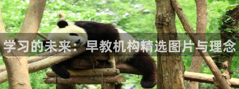 恒行2陈74OOO5：学习的未来：早教机构精选图片与理念