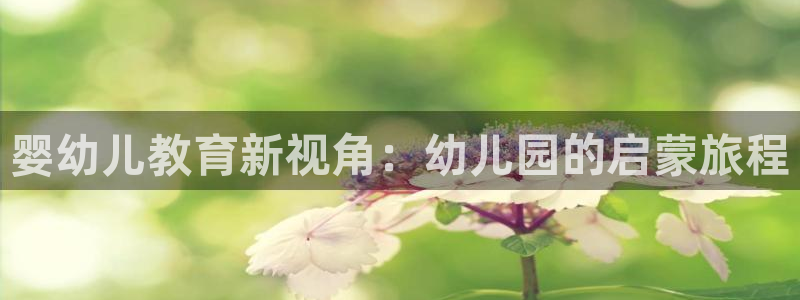 恒行娱乐郑74OOO5：婴幼儿教育新视角：幼儿园的启蒙旅程