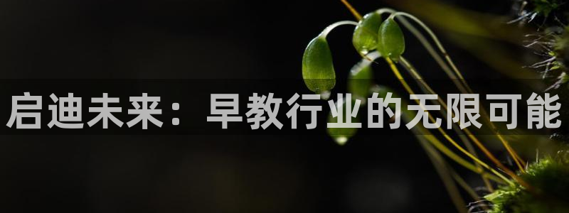 恒行娱乐芍皇74ooo5蛹：启迪未来：早教行业的无限可能