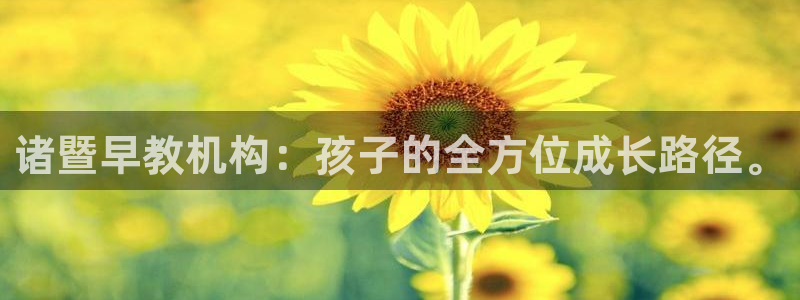 恒行主管总代6ll5l周至:诸暨早教机构:孩子的全方位成长路径。