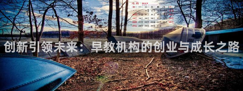 恒行娱乐寻问74 5:创新引领未来:早教机构的创业与成长之路