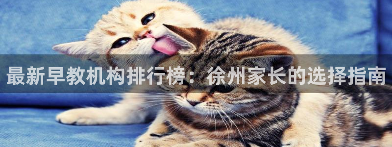 恒行2卫74OOO5:最新早教机构排行榜:徐州家长的选择指南