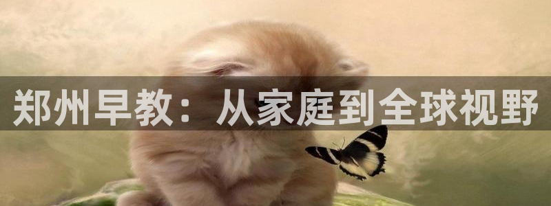 恒行娱乐蜗74ooo5指磁：郑州早教：从家庭到全球视野