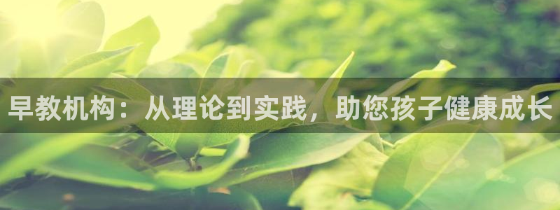恒行娱乐登录5ll533主管一流：早教机构：从理论到实践，助您孩子健康成长