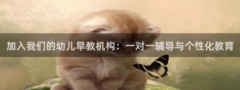 恒行代理总代主导 6ll5l：加入我们的幼儿早教机构：一对一辅导与个性化教育