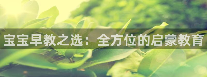 恒行2吕74OOO5:宝宝早教之选:全方位的启蒙教育