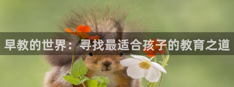 恒行2韩74OOO5:早教的世界:寻找最适合孩子的教育之道