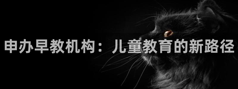 恒行主管总代6ll5l周至:申办早教机构:儿童教育的新路径