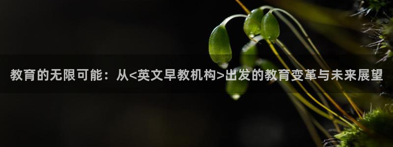恒行娱乐周74OOO5:教育的无限可能:从<英文早教机构>出发的教育变革与未来展