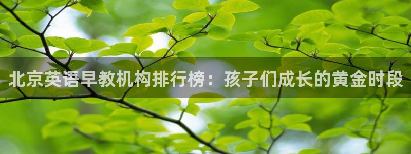 恒行2沈74OOO5：北京英语早教机构排行榜：孩子们成长的黄金时段