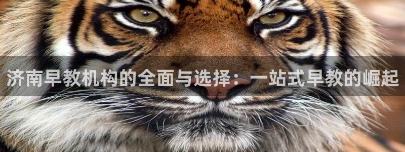 恒行娱乐寻问74 5:济南早教机构的全面与选择:一站式早教的崛起