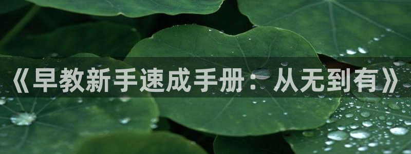 恒行主管6ll5l指定：《早教新手速成手册：从无到有》